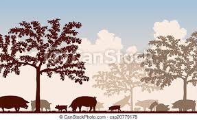 Suitable for all fruit trees, including apples, pears, peaches, plums and cherries. Orchard Pigs Editable Vector Illustration Of Free Range Pigs Feeding Under Fruit Trees With All Figures As Separate Objects Canstock