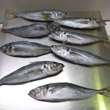 Since the fish is frozen at its peak of freshness, all of its flavor and nutrition, as well as its texture, is locked in. Whole Round Frozen Fish Horse Mackerel With Good Quality