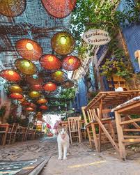 Burasi Tam Bizlik Dedigin Arkadasini Etiketle Ayvalik Cunda Adasi Seytan Sofrasi Kucukkoy Turu 12 Agustos P Tesi Bayram Holiday Ayvalik Instagram