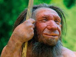 Spiegazione dell'uomo di neanderthal nel periodo. Cosa Mangiava L Uomo Di Neanderthal La Scoperta Gambero Rosso