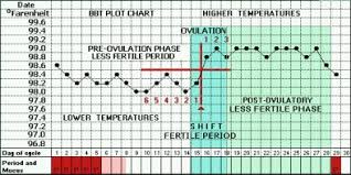 mabis digital basal thermometer ovulation predictor