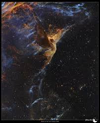 Image result for Astropanax