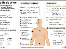C'est quatre fois plus qu'en 2014. Lyme Manifestation Mercredi Pour Des Solutions Concretes Sciences Et Avenir