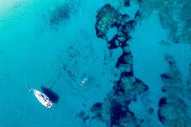 Michele Falzone" Images