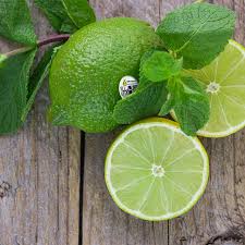 Per questo divide i compiti fra i soci nato, invitando gli europei occidentali a contrastare la cina e quelli orientali a premere sulla russia. All About Limes Brooks Tropicals