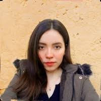 300+ perfiles de «Sandra Ibarra»