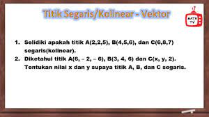 Titik Segaris Kolinear Materi Vektor Matematika Peminatan Kelas X Youtube