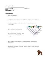Biology Video Guide Bozeman Biology Cladograms Biology Ap Biology Teaching Biology
