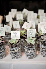 Green And White Chic Boho Wedding Succulent Wedding Favors Succulent Wedding Wedding Favors