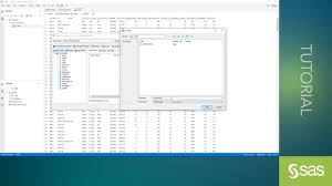Sas Enterprise Guide Sas Support