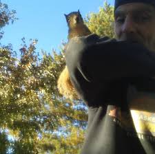 How many visited Rocky Point Shore dinner hall?