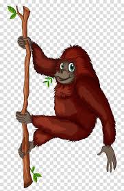 Download high quality orangutan clip art from our collection of 41,940,205 clip art graphics. Free Download Orangutan King Louie Orangutan Transparent Background Png Clipart Hiclipart