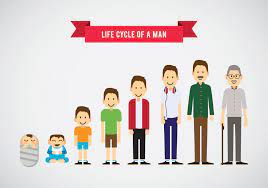 Lifecycle Of A Man Vector Man Vector Family Cartoon Family Illustration