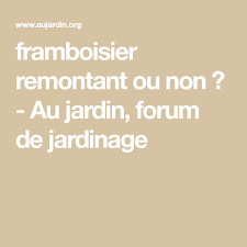 Framboisier Remontant Ou Non Au Jardin Forum De Jardinage En 2020 Framboisier Remontant Framboisier Jardinage