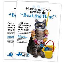 Maybe you would like to learn more about one of these? Beat The Heat Flyer Beat The Heat Dog Grooming Fur Babies
