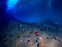 We did not find results for: 11 Destinasi Wisata Bawah Laut Terindah Di Dunia
