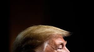 Our Year Of Trumpschmerz The New Yorker