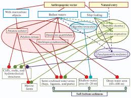 Hawaiian pool & spa supplies! Distribution Of Alien Polychaetes In Biotopes Of The Northern Part Of The Black Sea Springerlink