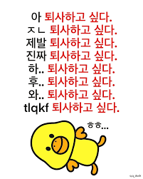 토요일 잘 보내고 오늘 하루도 화이팅이야 스친아 😸