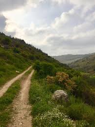الطريق طويل وشاق ولكن العش اق لا يأبهون فلسطين لنا بكر أبوبكر Country Roads Pictures World