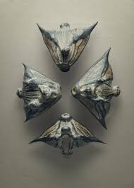 Image result for Trapa natans