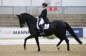 He won olympic team gold in 1992, 1996 and 2000, individual gold in 1996 and individual silver in 1992 and 2000. Pkrkwl1r0vz7um