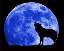 صور ذئاب blue moon moon pictures wolf moon