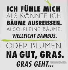 Lustige Bilder Und Lustige Sprüche Für Facebook Whatsapp Und