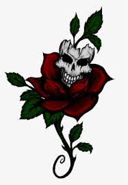 Rose tattoo is a trademark of billy argel. Rose Tattoo Png Download Transparent Rose Tattoo Png Images For Free Nicepng