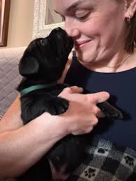 Gus needs to be part of coffee in the morning ❤️🐾 My little human 😁