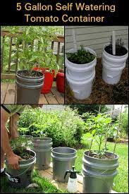 5 Gallon Self Watering Tomato Container Diy Projects For Everyone Tomato Container Gardening Container Gardening Vegetables Watering Tomatoes
