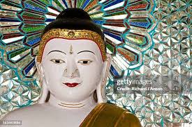 220 Anson Gray Stock Photos, High-Res Pictures, and Images