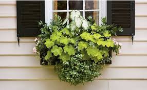 Pin Auf Garten Ideen