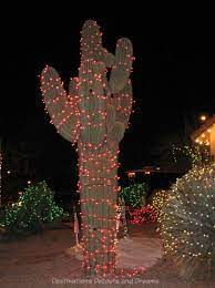 The christmas cactus likes plenty of light, but prefers bright, indirect light. The History Of Lighting The Christmas Tree Destinations Detours And Dreams