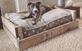 The average cost of dog training is $30 to $80 per class with most spending about $50 per hour. Diy Dog Cushion Ideas Sfeenks Com Diy Dog Bed Diy Dog Stuff Dog Bed Large
