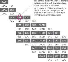 pin by hanika van schalkwyk on sewing bra size calculator