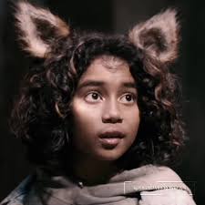 Finn Fox Rizz Sweet Tooth