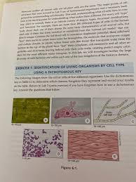 We did not find results for: However Neither All Animal Cells Nor All Plant Cells Chegg Com
