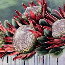 Pin By Ria Viljoen On Proteas Flower Art Painting Flower Painting Flower Art