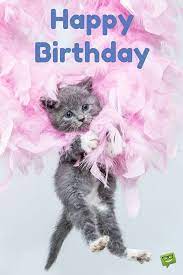 Pin Di Lucia Pallotti Su Buon Compleanno Compleanno Gatti Buon Compleanno Auguri Di Buon Compleanno