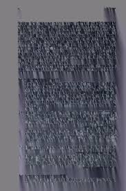 Image result for Lipocarpha atra