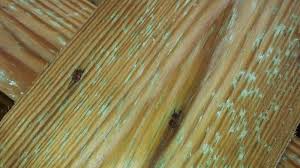 Image result for site:byggahus.se impregnerat