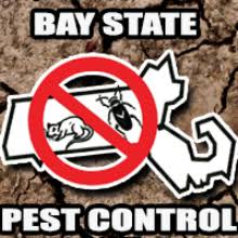 I love working for bay state pest control. Bay State Pest Control Inc Empleo E Informacion Laboral Indeed Com