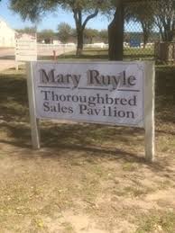Mary Ruyle