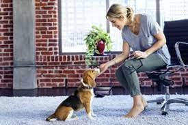 Maybe you would like to learn more about one of these? Pet Insurance Plans For Dogs And Cats Farmers Insurance