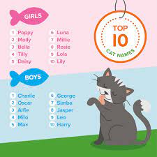Animed Direct S Top Pet Names Animed Direct