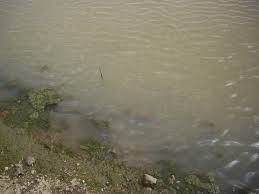 The aqua thruster does all three. How To Get Rid Of Pond Muck