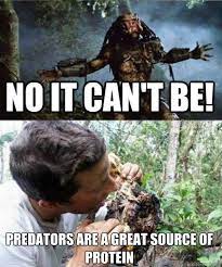 Found a freshwater pond and some iodine better drink my own. Bear Grylls Memes