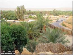 نتيجة بحث الصور عن الآثار صنم في حائل