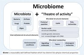 Occupation health and safety legislation. Microbiome Definition Re Visited Old Concepts And New Challenges Microbiome Full Text